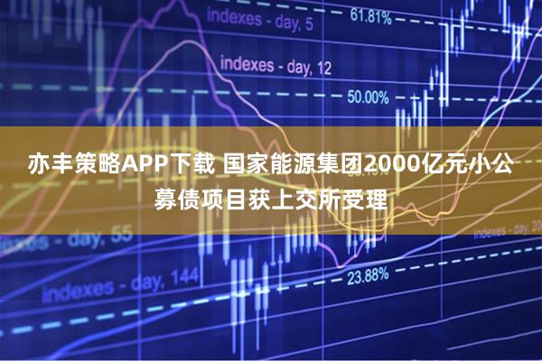 亦丰策略APP下载 国家能源集团2000亿元小公募债项目获上交所受理